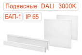 Подвесные офисные светодиодные светильники DALI-BAP-1 IP65 Теплые